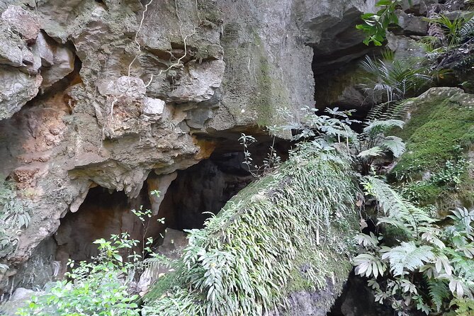 Milky Way Glowworm Cave Tour - Is $27.93 good value?