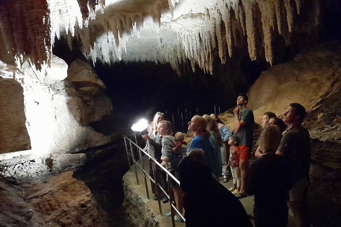 Milky Way Glowworm Cave Tour - The longer Starburst Cathedral option