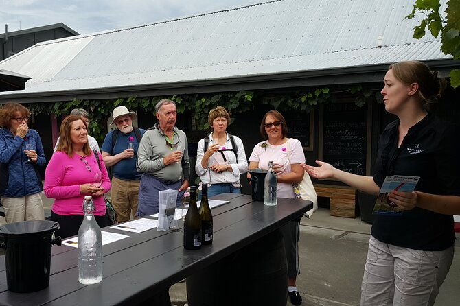 Morning Guided with Afternoon Self-Guided Biking Wine Tour - The self-guided afternoon gives you control