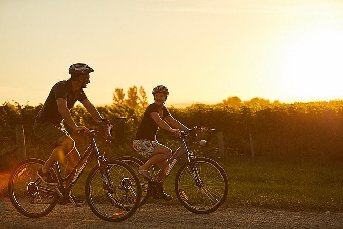 Morning Guided with Afternoon Self-Guided Biking Wine Tour - Is $117.91 a fair price?