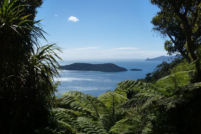 Motuara Island Bird Sanctuary and Ship Cove Cruise from Picton - Motuara Island gives the cruise its purpose