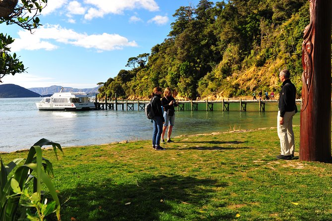 Motuara Island Bird Sanctuary and Ship Cove Cruise from Picton - A half-day schedule that works well in Picton