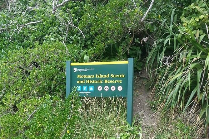 Motuara Island Bird Sanctuary and Ship Cove Cruise from Picton - Comfort, group size, and practical limits