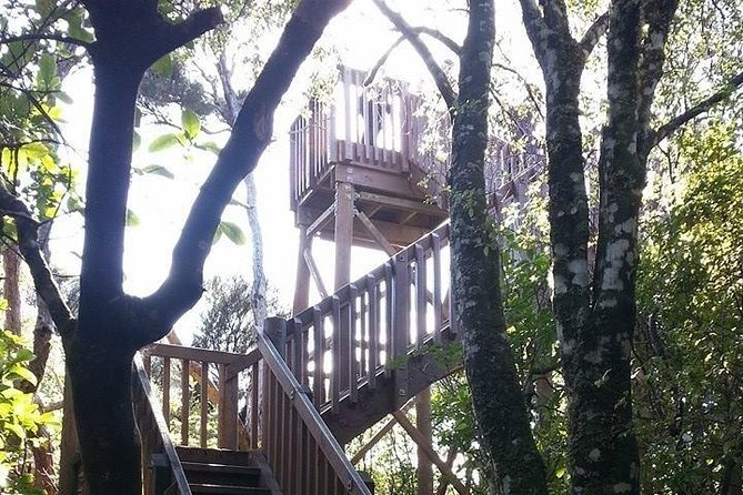 Motuara Island Bird Sanctuary and Ship Cove Cruise from Picton - The Queen Charlotte Sound cruise is half the experience