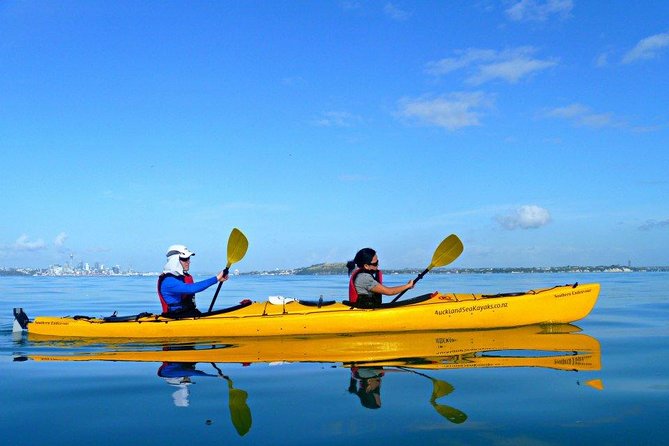 Motukorea / Browns Island Sea Kayak Journey - The return paddle and city views