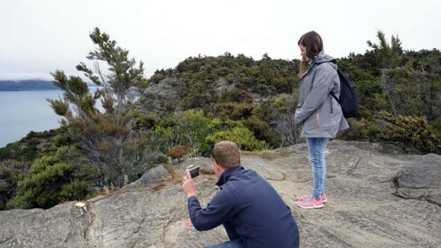 Mou Waho Island: 3-Hour Cruise and Guided Nature Walk - The island lake and the higher lookout