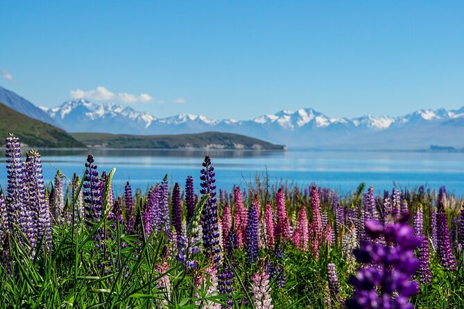 Mount Cook Scenic 35 Minute Helicopter Flight - How this compares with a ground-only visit