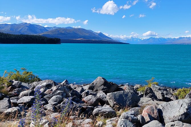 Mount Cook Tour: Finish at Queenstown, Christchurch or Dunedin - Choosing your starting city