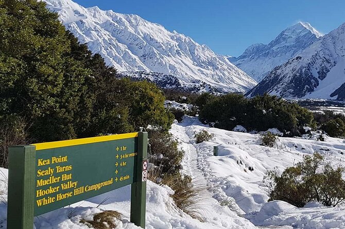 Mt Cook & Lake Tekapo 2-Day Small Group Tour from Queenstown - A guided morning around Lake Tekapo