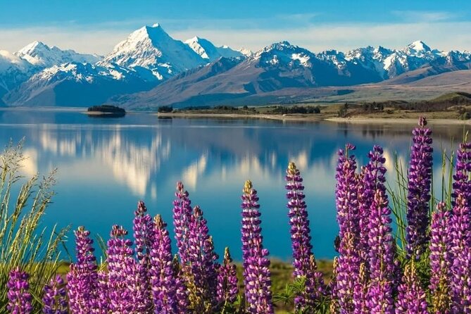 Mt. Cook Private Day Trip From Queenstown with Lake Tekapo - Tussock Hills at Lindis Pass