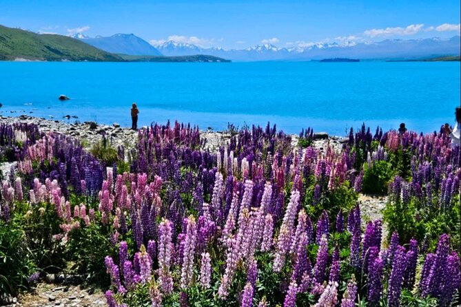 Mt. Cook Private Day Trip From Queenstown with Lake Tekapo - Lake Pukaki, Turquoise Water, and a Short Pause