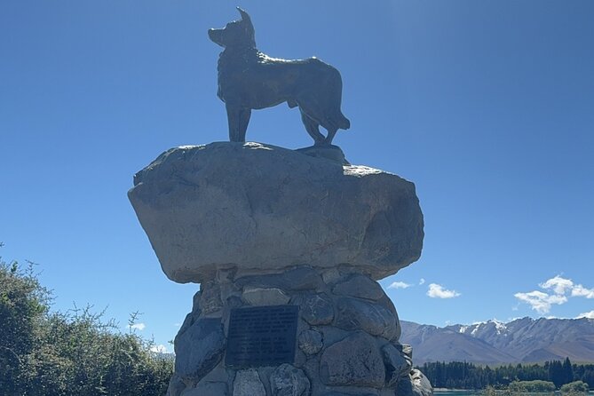 Mt. Cook Private Day Trip From Queenstown with Lake Tekapo - A Taste of High Country Salmon