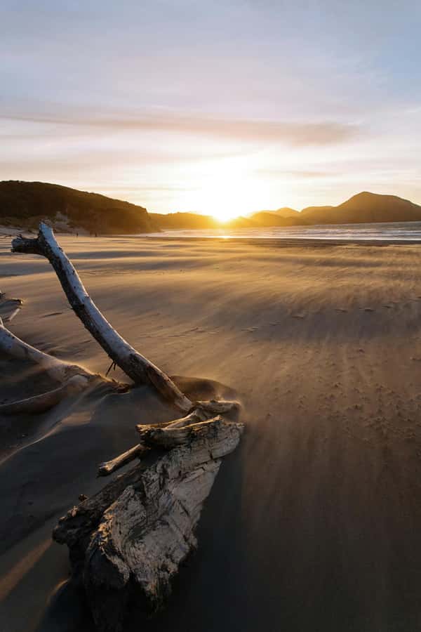 Mt. Eden, Piha Beach & Karekare Waterfalls - PRIVATE TOUR - Key points to know before booking