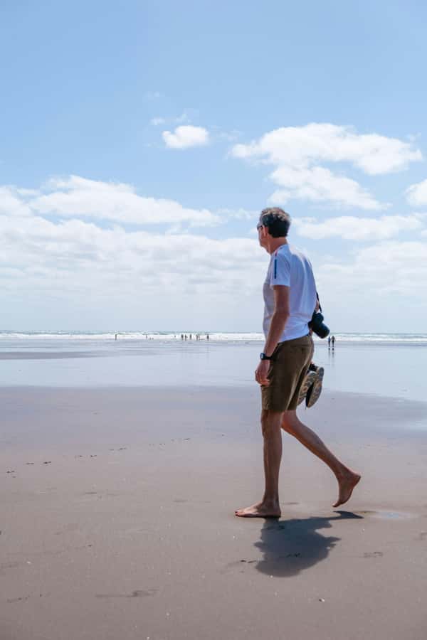 Mt. Eden, Piha Beach & Karekare Waterfalls - PRIVATE TOUR - Arataki Visitor Centre and the Māori story of the ranges