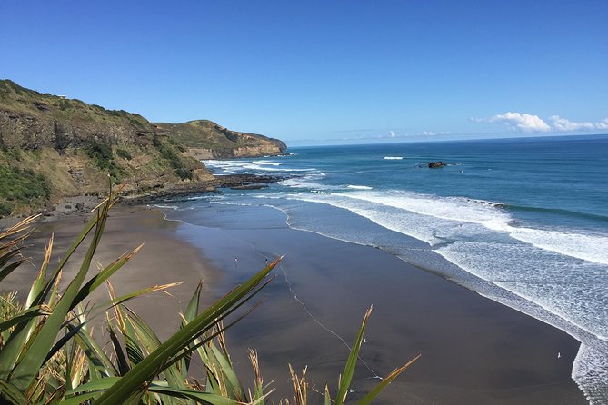 Muriwai Scenic Wine Tour from Auckland - Soljans Estate, a family winery with a long local story