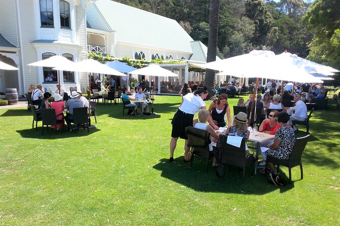 Napier: Afternoon Wine Tasting + visit Silky Oaks Chocolates - Why this afternoon works well in Napier