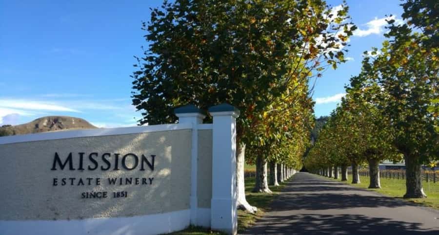 Napier: Afternoon Winery & Gin Tasting Tour Thu Fri Sat - A four-and-a-half-hour introduction to Hawke’s Bay wine