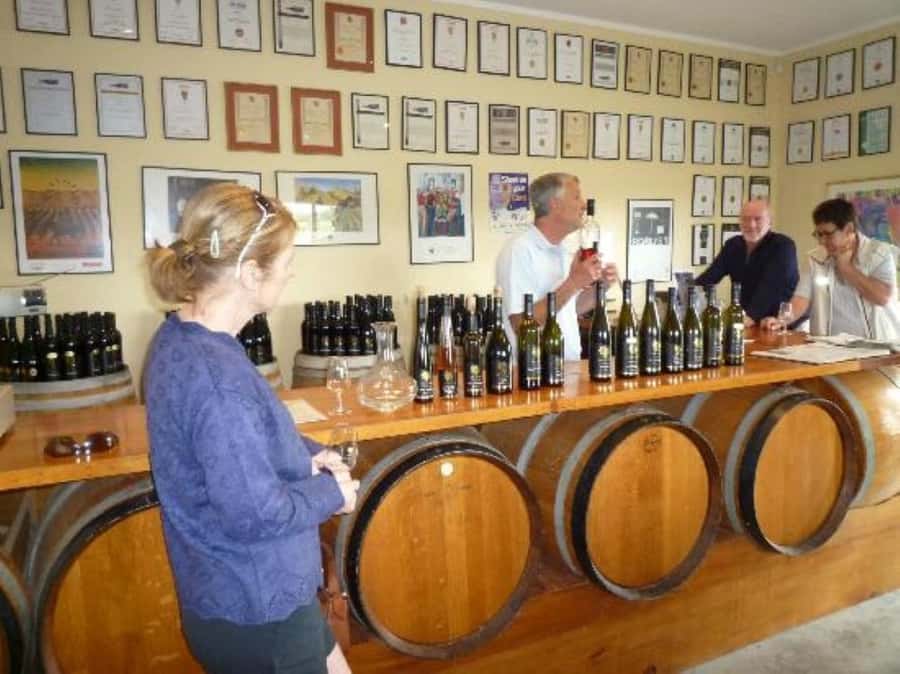 Napier: Afternoon Winery & Gin Tasting Tour Thu Fri Sat - Why the guide can make or break the afternoon