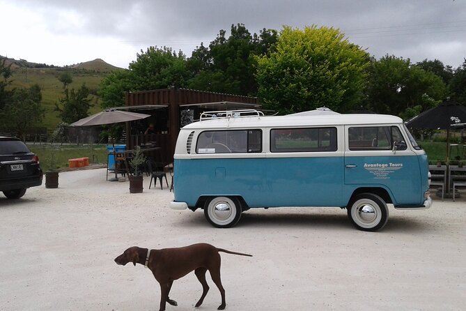 Napier and Hawkes Bay Scenic and Art Deco Tour by VW Kombi - Starting at Marine Parade and heading beyond Napier