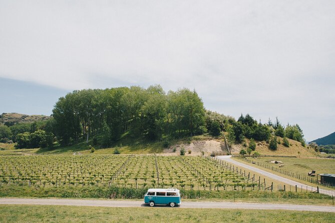 Napier and Hawkes Bay Scenic and Art Deco Tour by VW Kombi - Honey tasting at Arataki Honey Centre