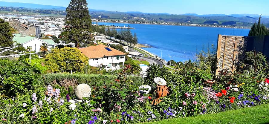 Napier: Art-Deco + Te Mata Peak+ Garden Walk + Wine Tasting - Why this three-and-a-half-hour tour works