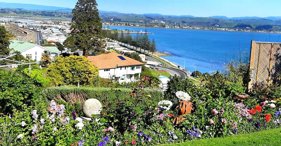 Napier: Art-Deco + Te Mata Peak+ Garden Walk + Wine Tasting - A personal stop at the guide’s garden