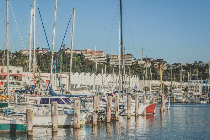 Napier Bike Hire - From city streets to quiet country roads