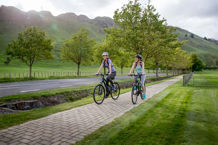 Napier: Cape Coast Winery Tour on Pedal or E-Bikes - Why this cycling day works so well