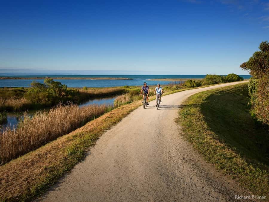 Napier: Cape Coast Winery Tour on Pedal or E-Bikes - Clearview Estate and Elephant Hill