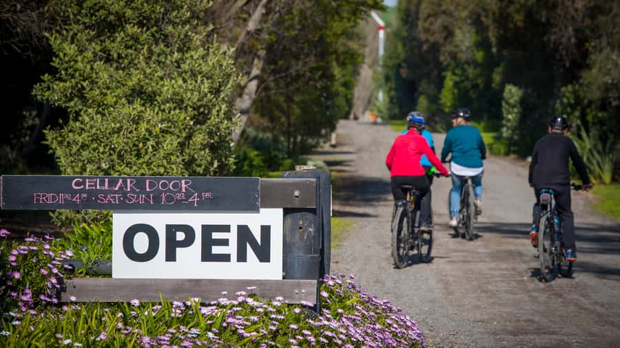 Napier: Cape Coast Winery Tour on Pedal or E-Bikes - The people and the level of support