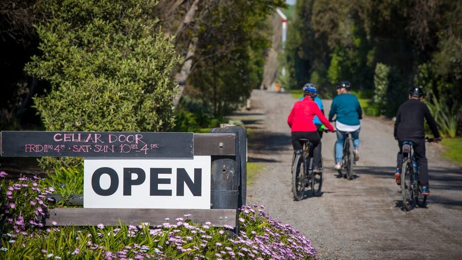 Napier: Cape Coast Winery Tour on Pedal or E-Bikes - Who should book this outing