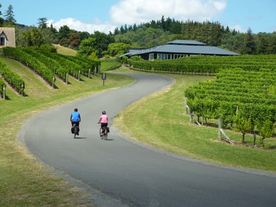 Napier: Cape Coast Winery Tour on Pedal or E-Bikes - Four coastal kilometers from Clifton