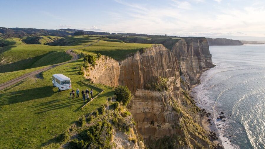 Napier: Cape Kidnappers Gannet, Nature & Sightseeing Tour - Getting within feet of the gannet colony