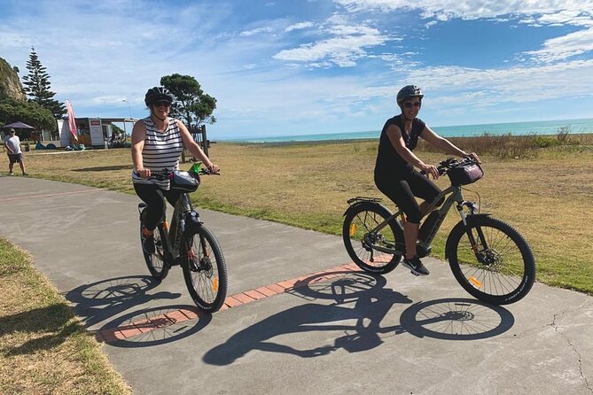 Napier: Cycle to Wineries - Half Day, self-guided - How to make this work from a cruise ship