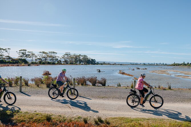 Napier E-bike Hire - Why an e-bike fits Napier so well