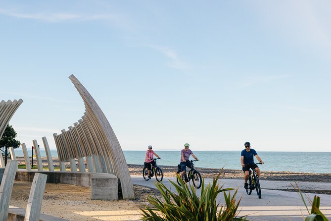 Napier E-bike Hire - Price and value for a full day