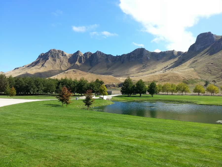 Napier: Highlights & Tour Exploring the Best of this Region - Orchards, vineyards, and the Hawke’s Bay drive