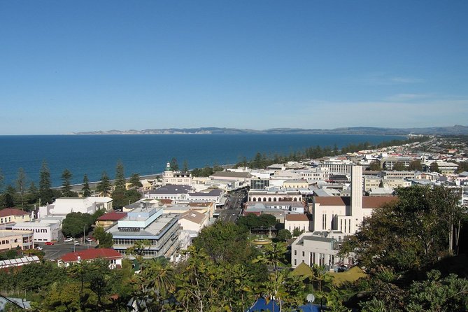 Napier Shore Excursion: City Sights and Hawke's Bay Tour - Key points to know before booking