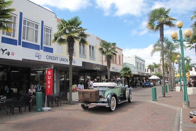 Napier Shore Excursion: Wine & Art Deco Tour - Starting at Napier Port at 7:30 am