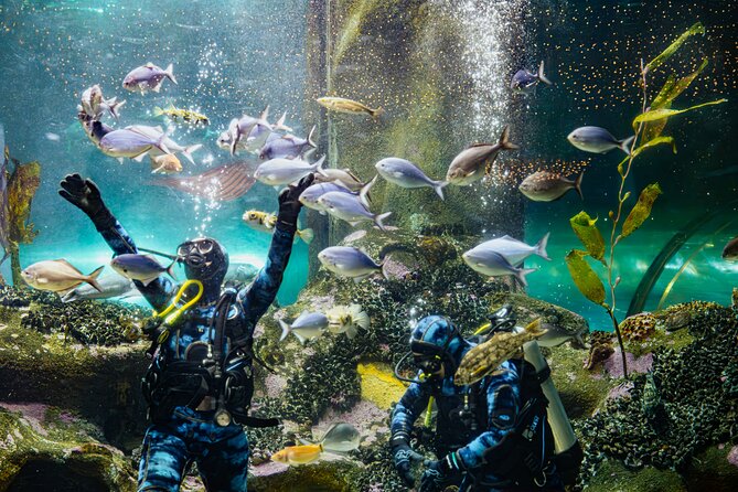 National Aquarium of New Zealand in Napier General Admission - From mountains to sea in one compact visit
