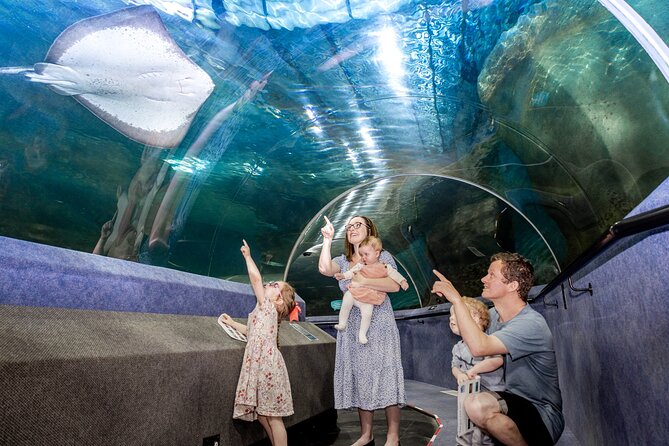 National Aquarium of New Zealand in Napier General Admission - The underwater exhibit and gliding stingrays