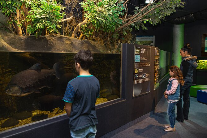 National Aquarium of New Zealand in Napier General Admission - Is $18.31 good value?