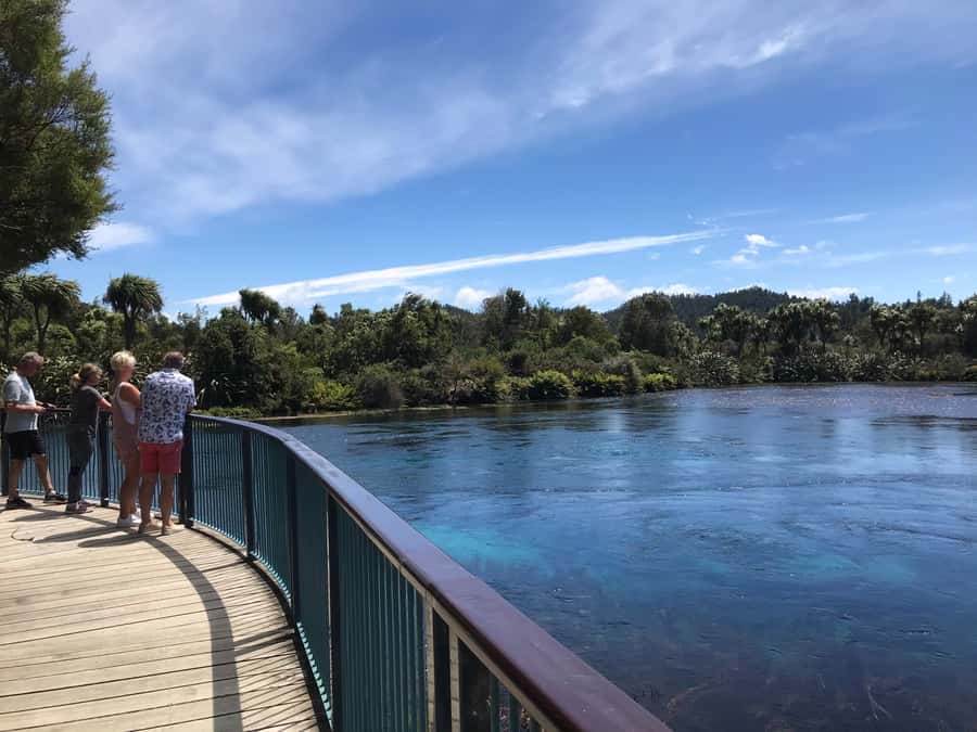 Nelson: Abel Tasman Cruise-Fly Day Tour - The early shuttle to Kaiteriteri