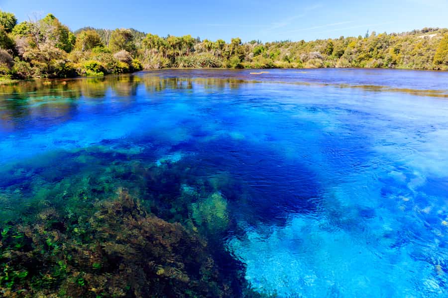 Nelson: Abel Tasman Cruise-Fly Day Tour - What the timing means for you