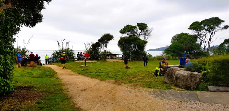 Nelson: Abel Tasman Cruise-Fly Day Tour - Who will get the most from this tour
