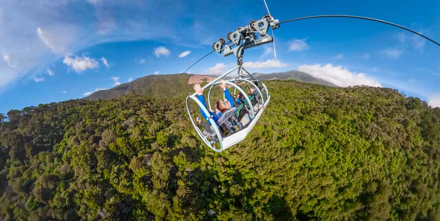 Nelson: Cable Bay Adventure Park Skywire Experience - Key points before you book