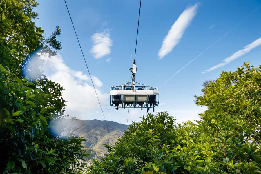 Nelson: Cable Bay Adventure Park Skywire Experience - Forest, farmland, and the run back