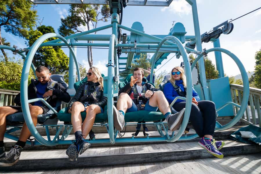 Nelson: Cable Bay Adventure Park Skywire Experience - Booking details worth knowing