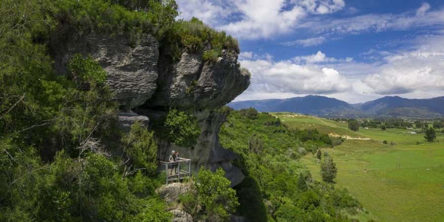 Nelson: Golden Bay in a Day Tour - Why Golden Bay works as a full-day trip from Nelson