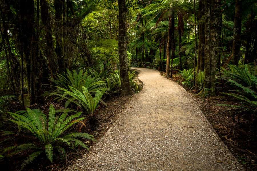 Nelson: Golden Bay in a Day Tour - Tata Beach, golden sand, and the Tasman Sea